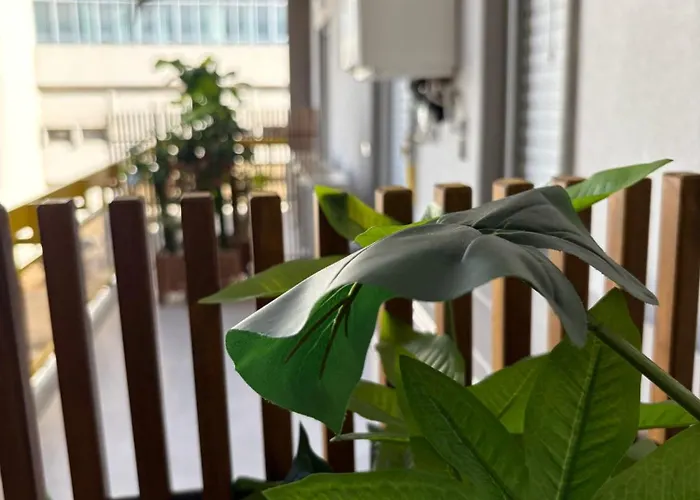 Pensionat Sogni In 3*